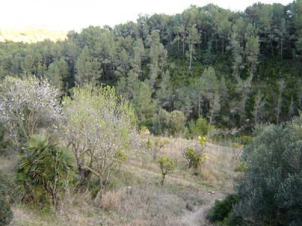 Casa_de_colonies_Can_Foix_La_regio_08