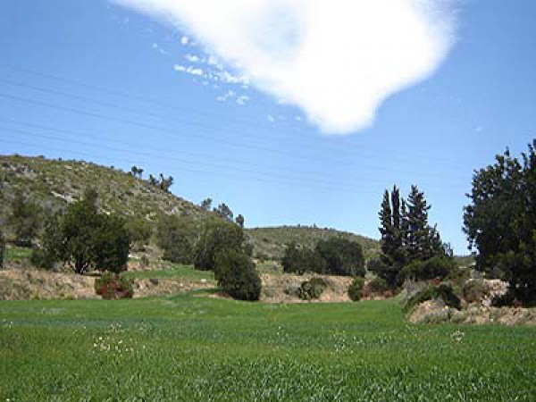 Casa_de_colonies_Can_Foix_La_regio_09