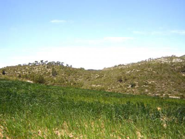 Casa_de_colonies_Can_Foix_La_regio_10