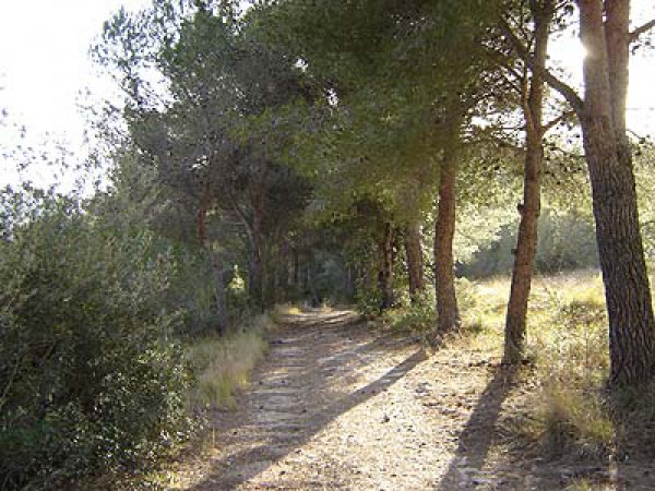 Casa_de_colonies_Can_Foix_La_regio_11