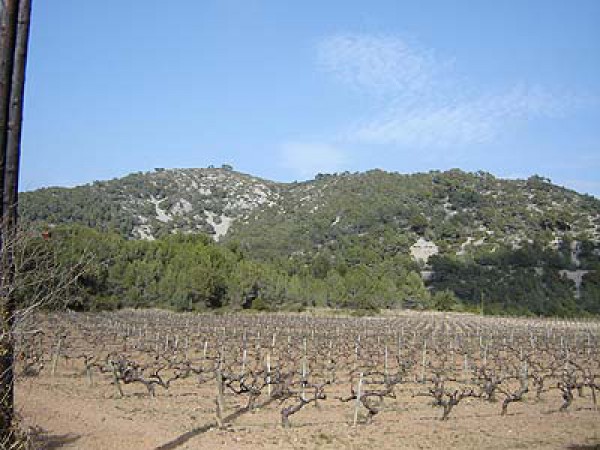 Casa_de_colonies_Can_Foix_La_regio_13