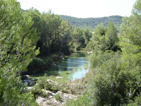 Casa_de_colonies_Can_Foix_La_regio_15