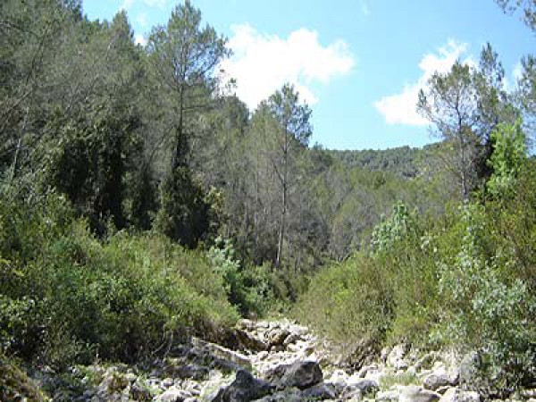 Casa_de_colonies_Can_Foix_La_regio_16